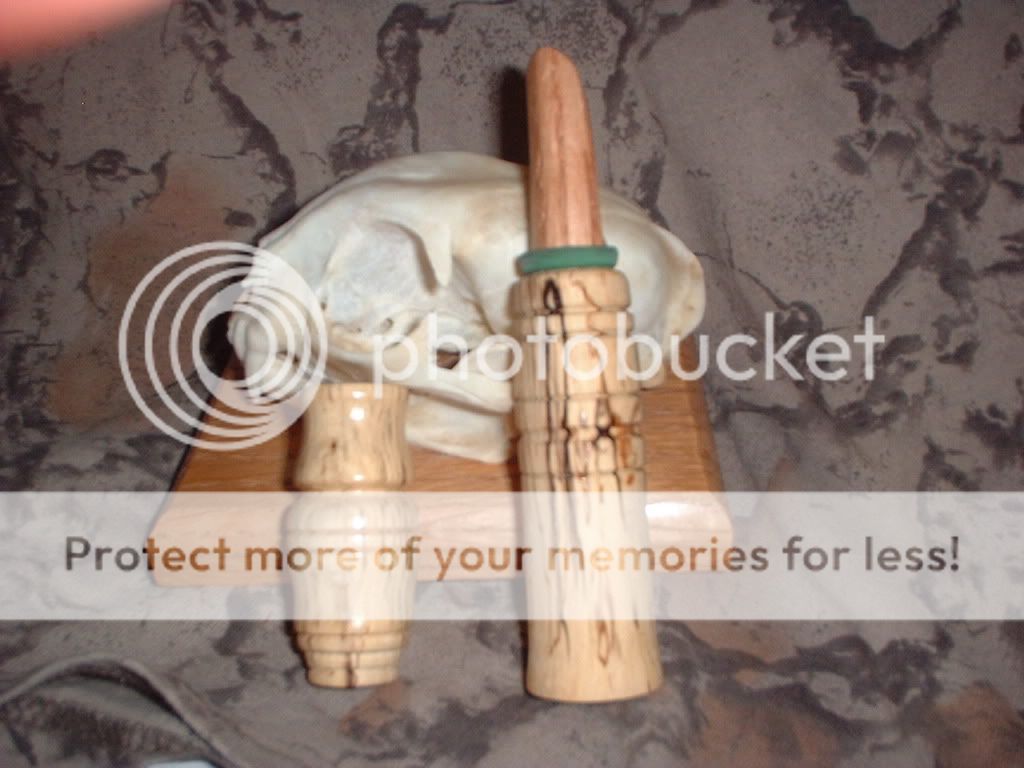 Some new predator calls